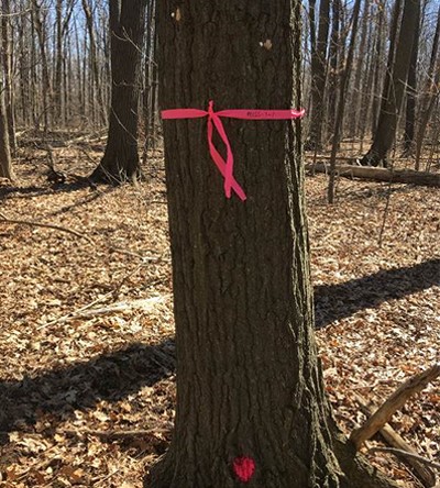 https://www.sarnia.ca/app/uploads/2020/04/Plots-Picture-from-Patti-1.png