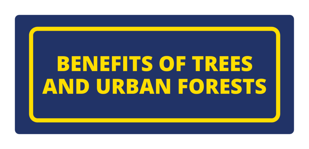 Button to lead to the benefits of trees and urban forests page