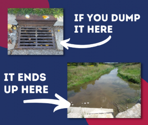 if you dump in a catch basin it goes to a creek