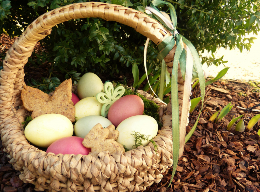 photo of easter eggs in a basked in a park.