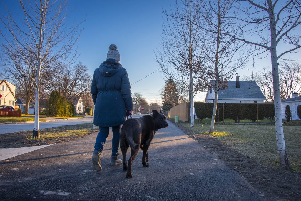 Person walking their dog on a paved path.